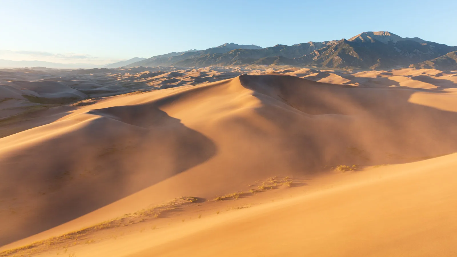 Sculpted sand dunes with smooth transitions from warm sunlit slopes to soft shadow, below distant mountain peaks