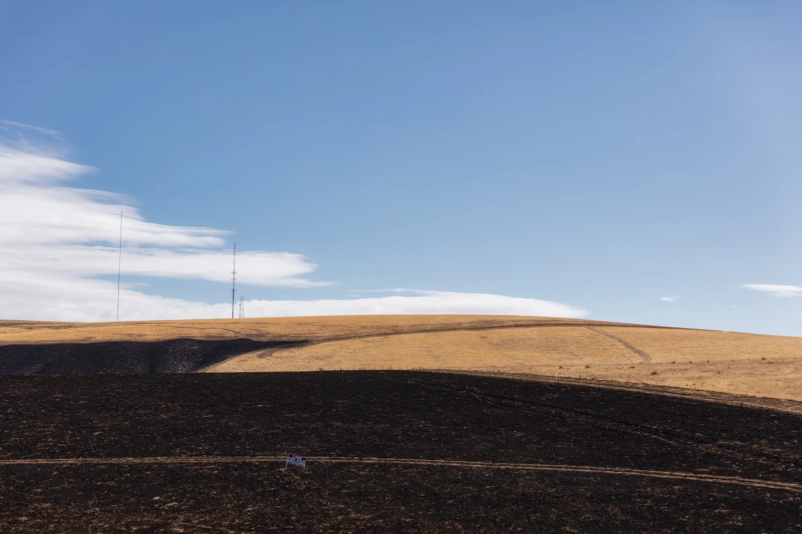 A burned dark field meeting golden grass under a blue sky with a distant utility pole on the horizon