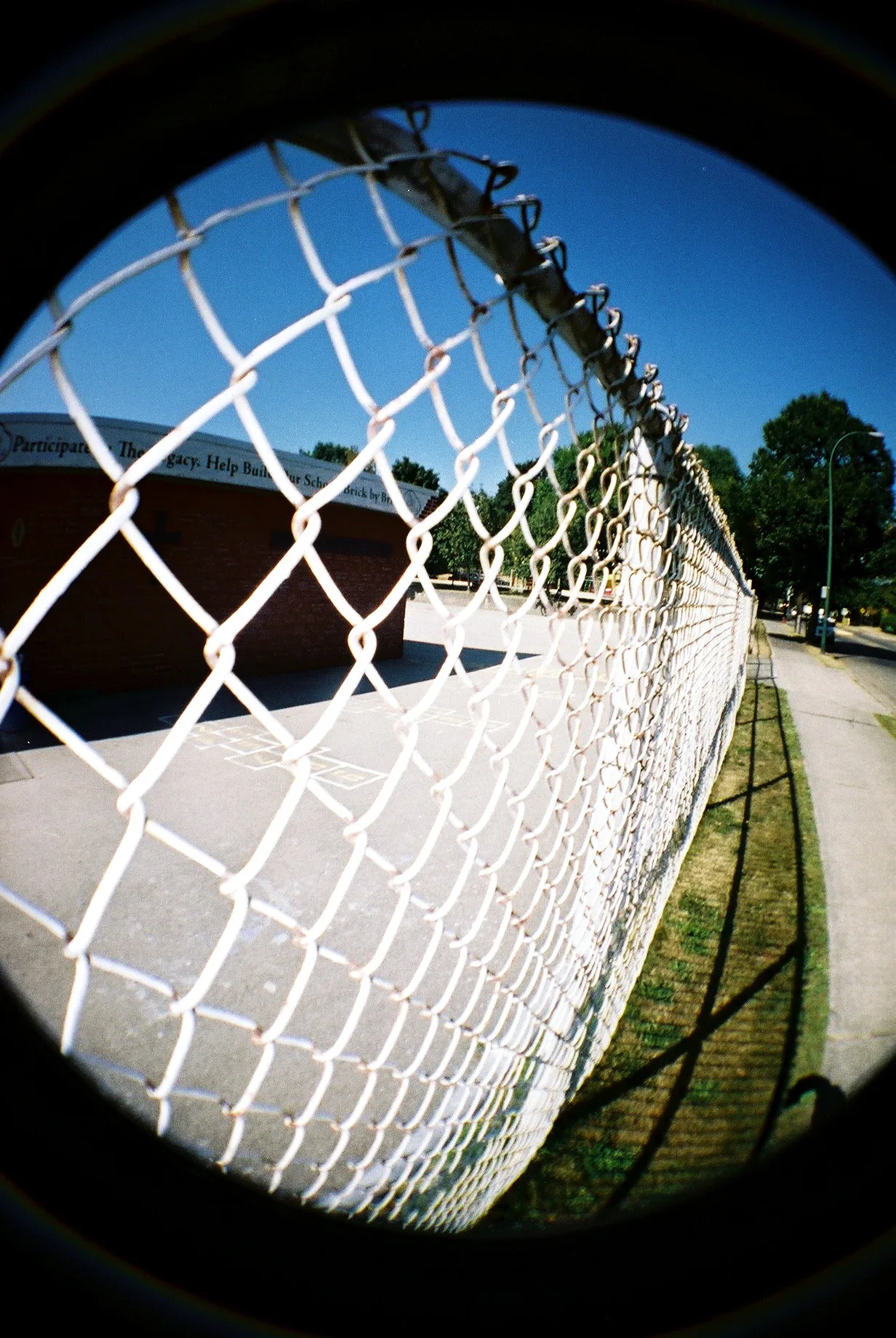 Fisheye film photo of a white chain link fence curving away beside a path under a deep blue sky