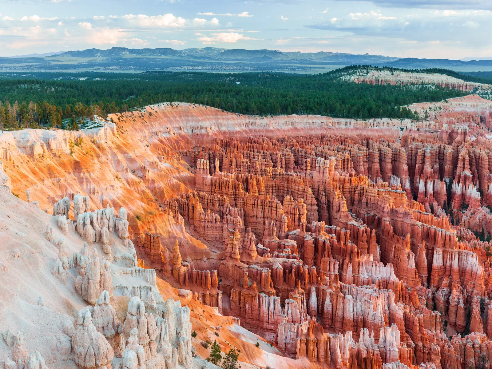 Early sunrise light glowing across the orange hoodoos of Bryce Canyon, with a soft bright horizon behind