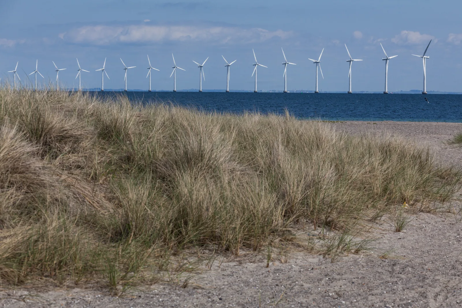A long row of offshore wind turbines stands in the sea beyond grass-covered sand dunes under a hazy sky.