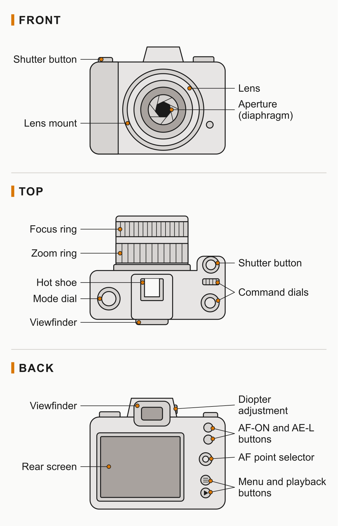 Labelled diagram of the parts of a camera in front, top and back views, showing the lens, lens mount, dials, shutter button, hot shoe, viewfinder, rear screen and buttons.