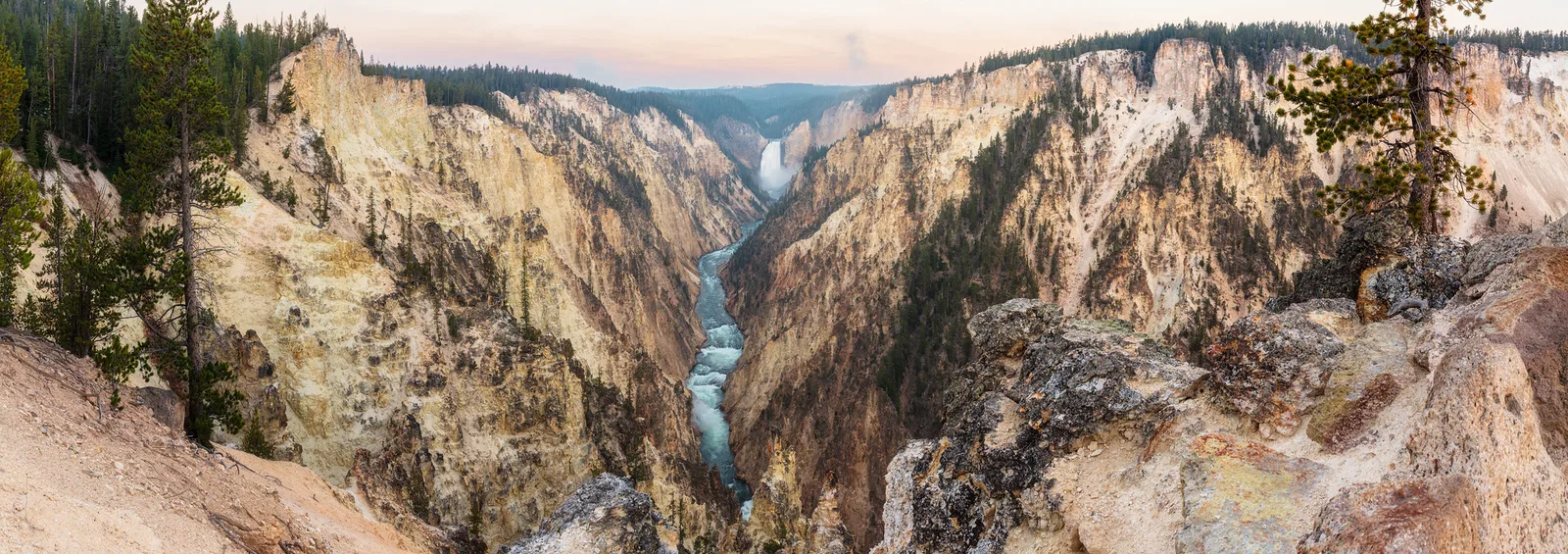 A tall waterfall pouring into a deep yellow canyon with pine trees on the rim