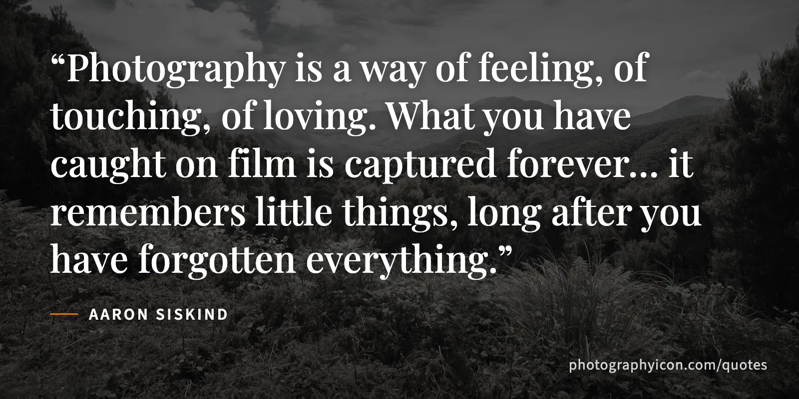 Photography is a way of feeling, of touching, of loving. What you have caught on film is captured forever… it remembers little things, long after you have forgotten everything. - Aaron Siskind