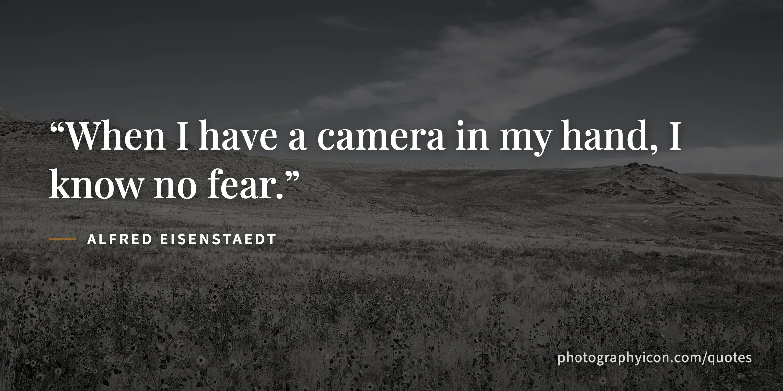 When I have a camera in my hand, I know no fear. - Alfred Eisenstaedt