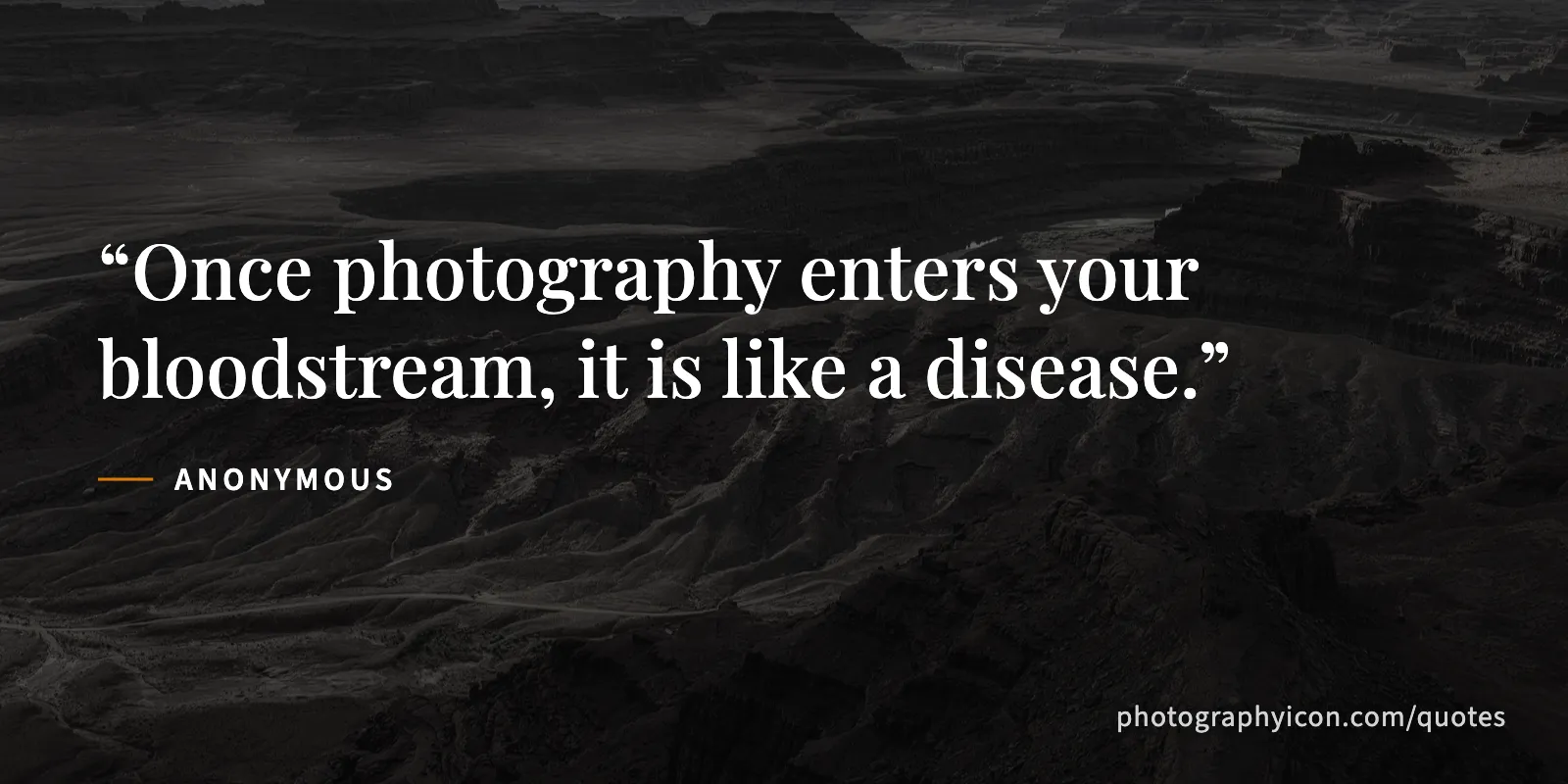 Once photography enters your bloodstream, it is like a disease. - Anonymous