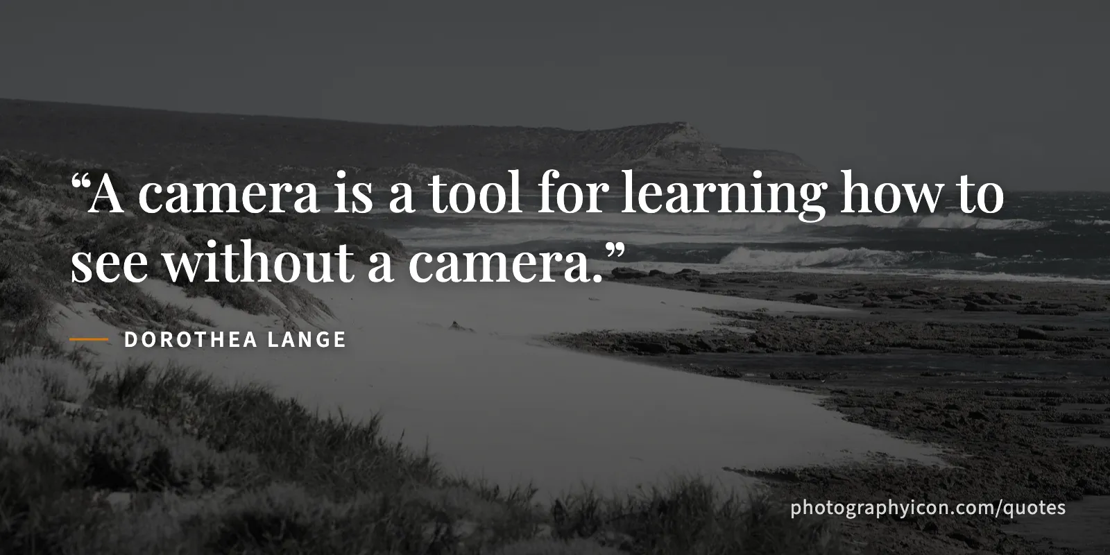 A camera is a tool for learning how to see without a camera. - Dorothea Lange