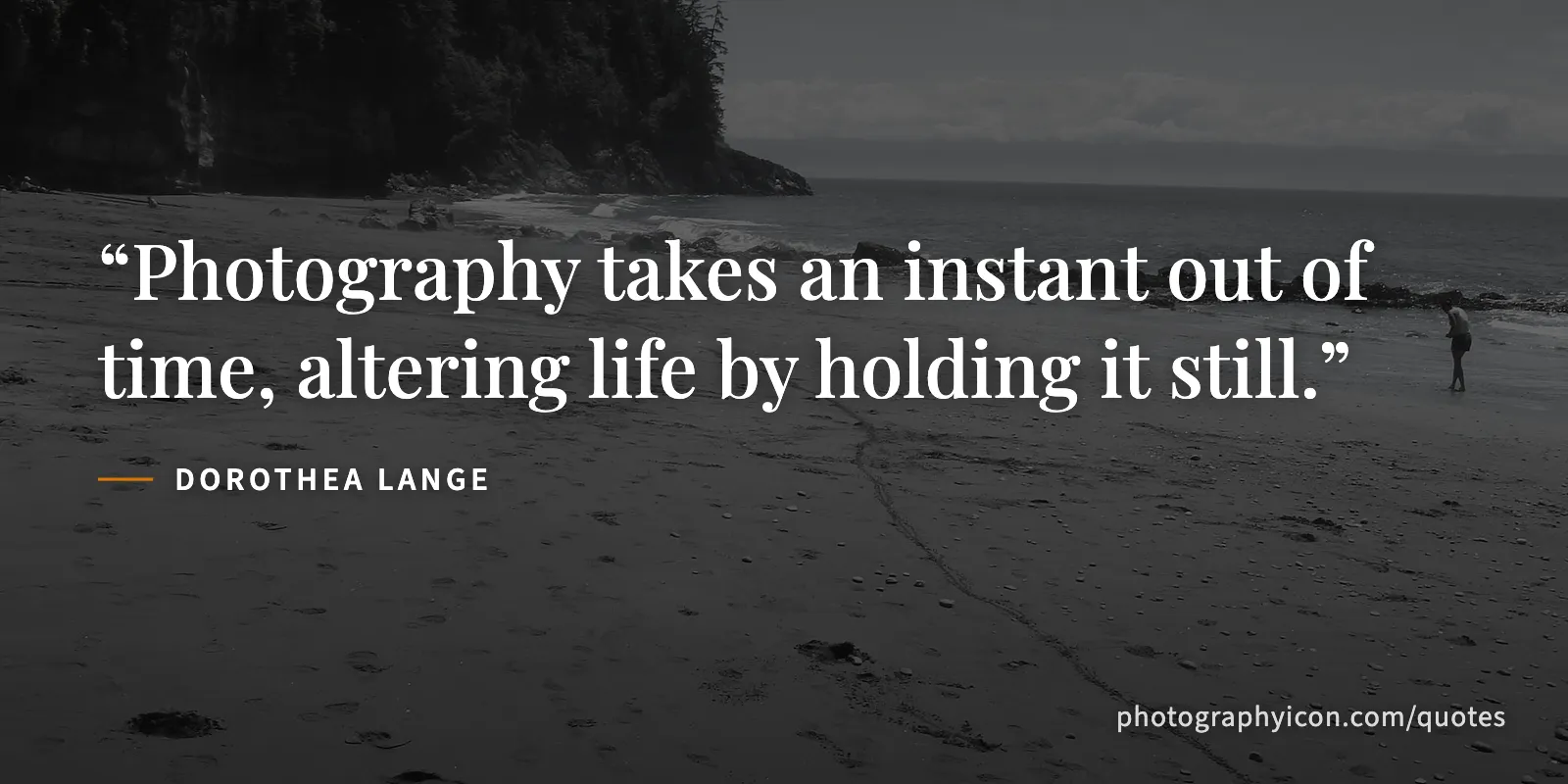 Photography takes an instant out of time, altering life by holding it still. - Dorothea Lange