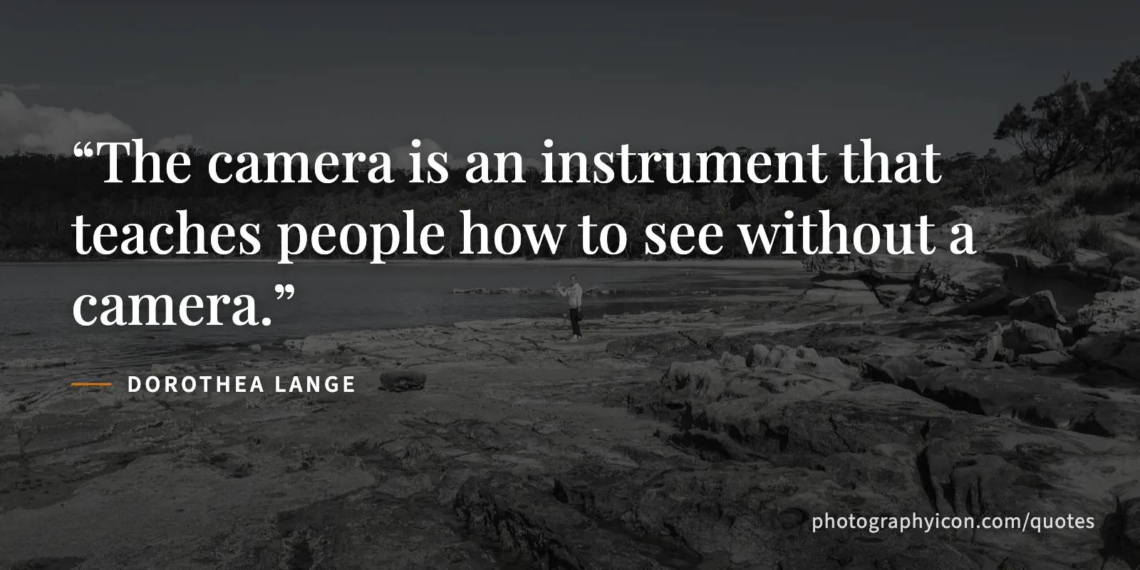The camera is an instrument that teaches people how to see without a camera. - Dorothea Lange