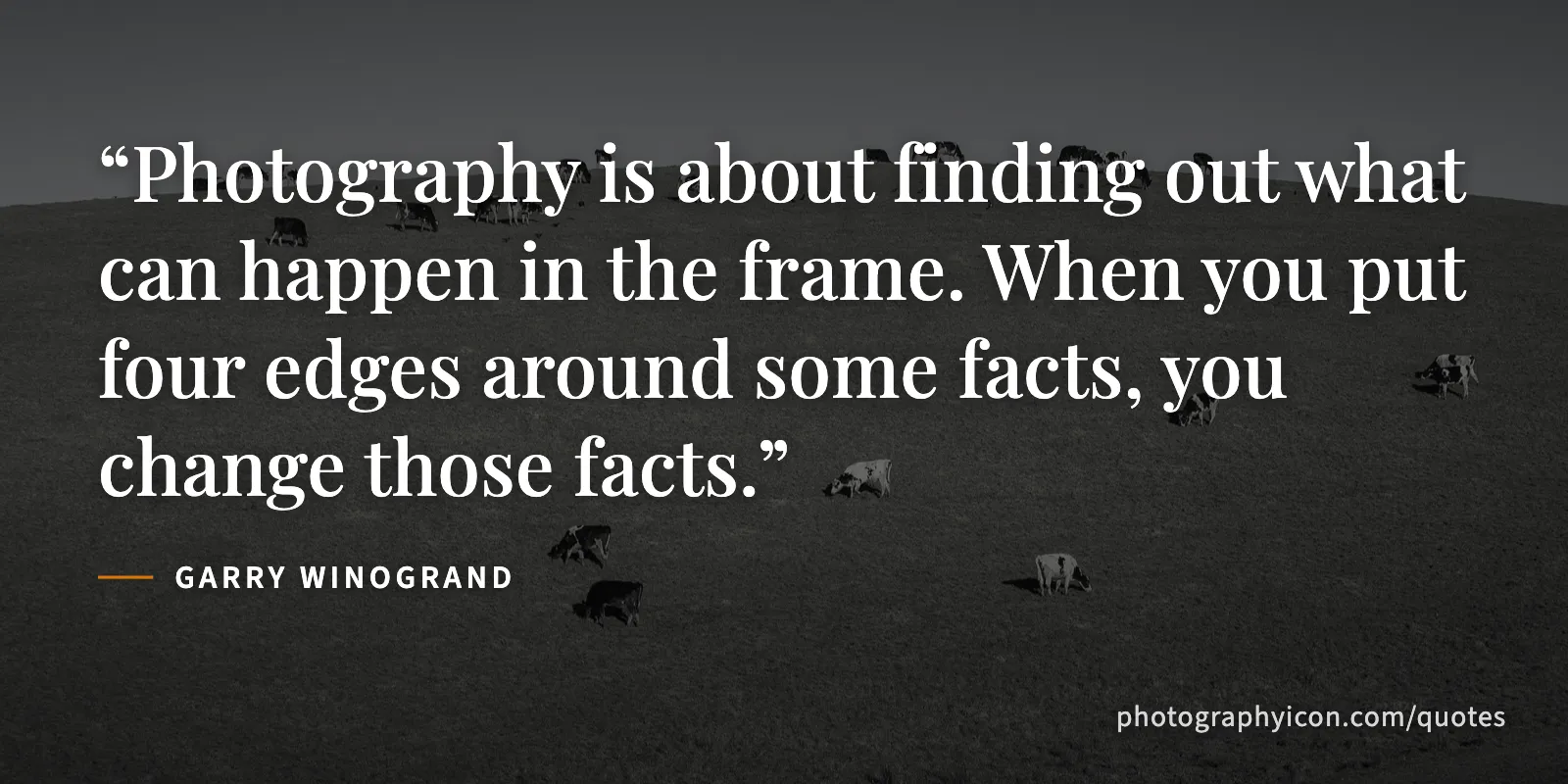 Photography is about finding out what can happen in the frame. When you put four edges around some facts, you change those facts. - Garry Winogrand