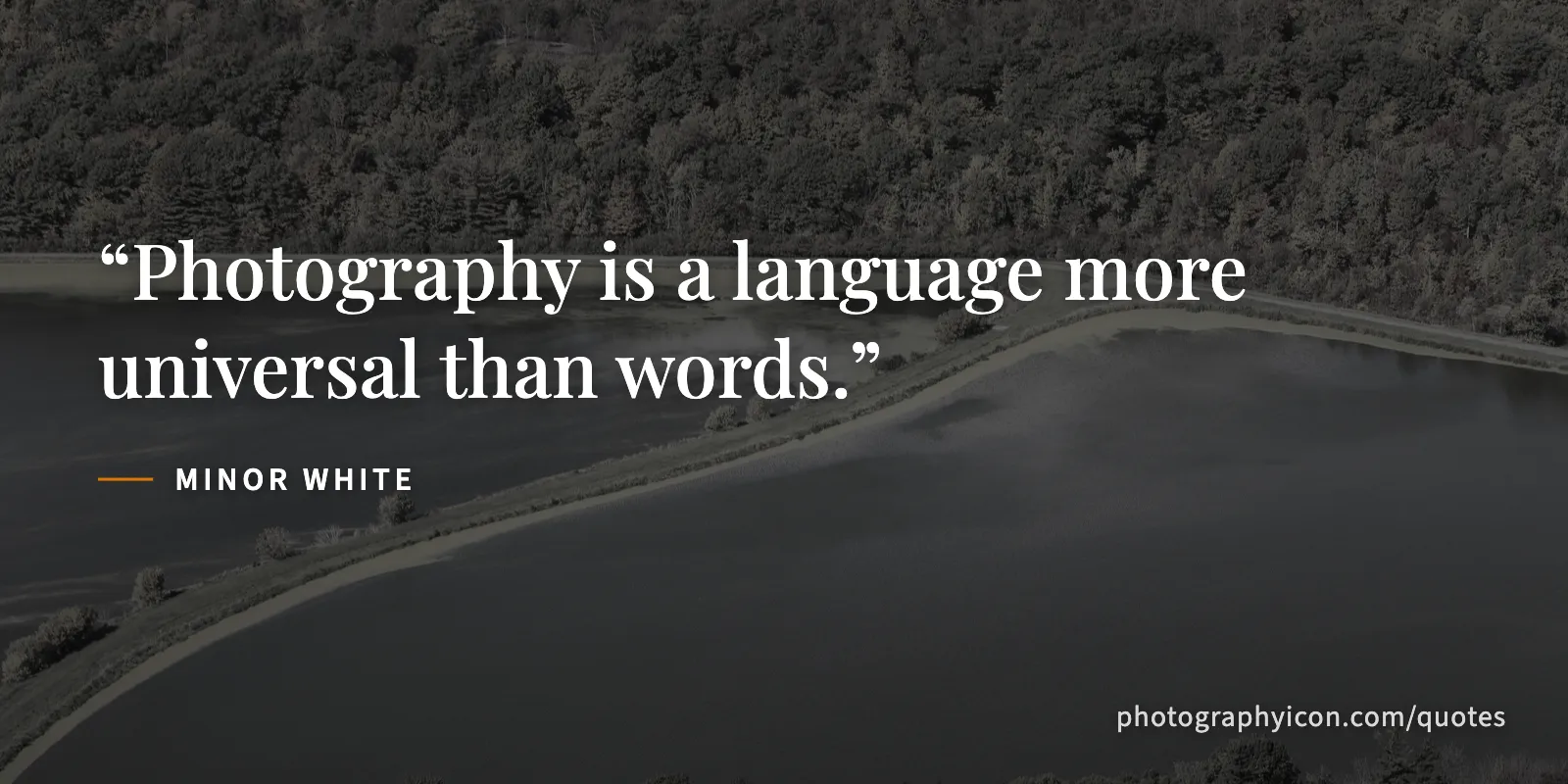 Photography is a language more universal than words. - Minor White