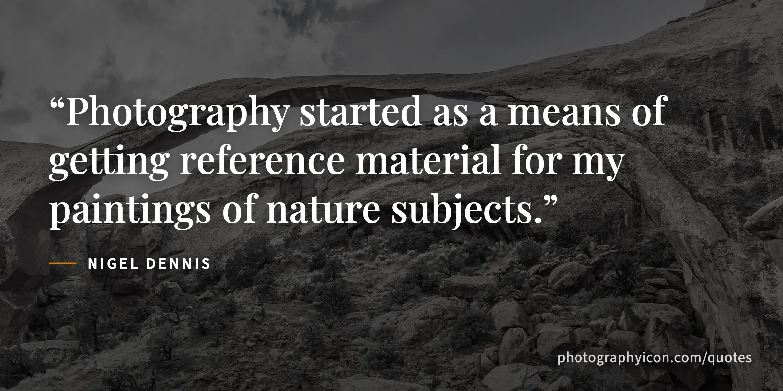 Photography started as a means of getting reference material for my paintings of nature subjects. - Nigel Dennis