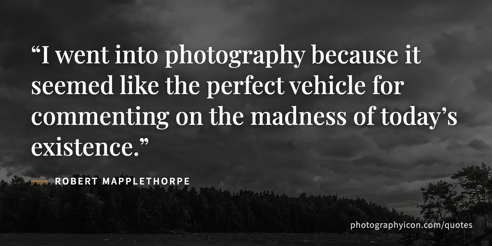 I went into photography because it seemed like the perfect vehicle for commenting on the madness of today’s existence. - Robert Mapplethorpe