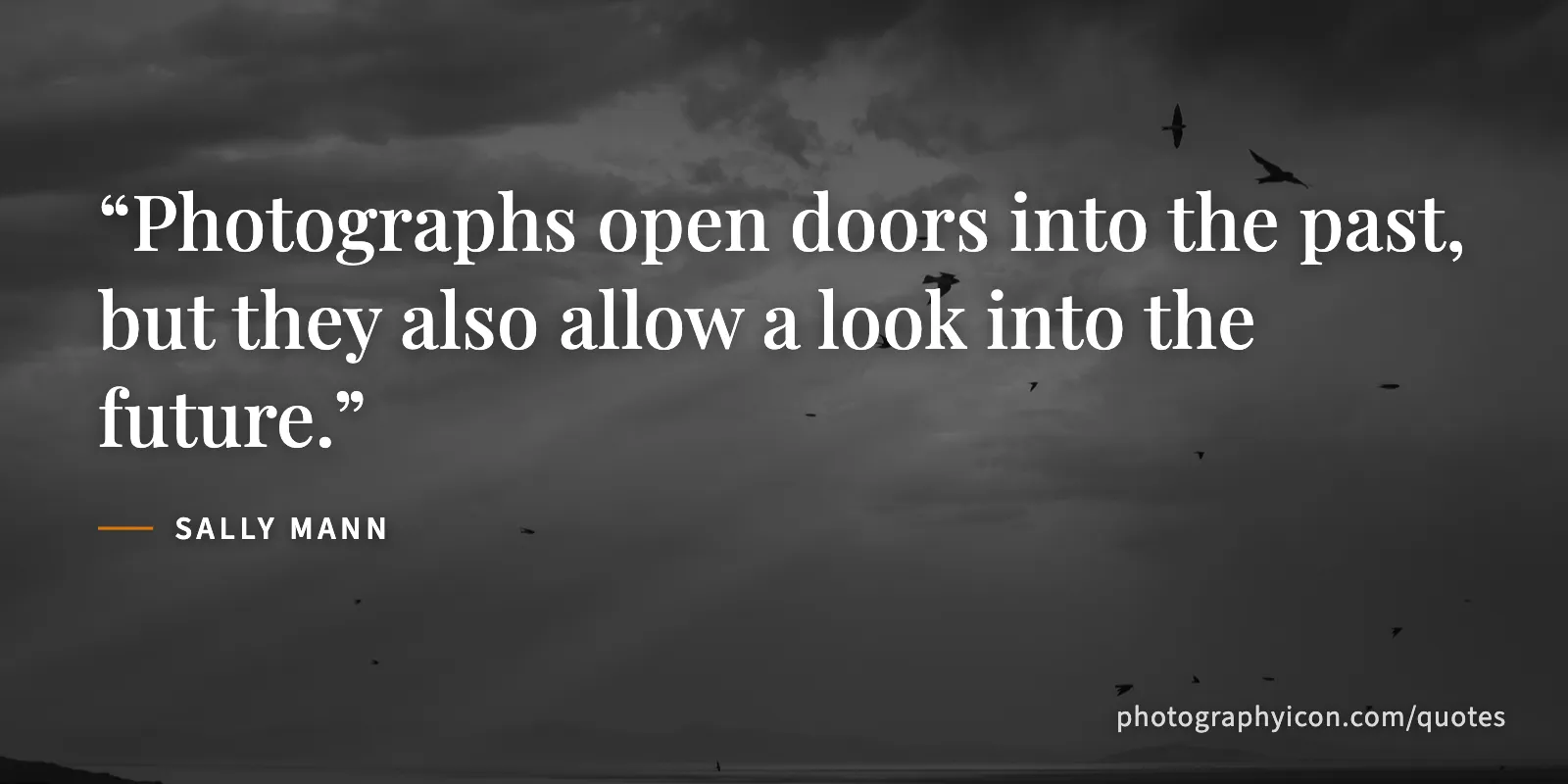 Photographs open doors into the past, but they also allow a look into the future. - Sally Mann