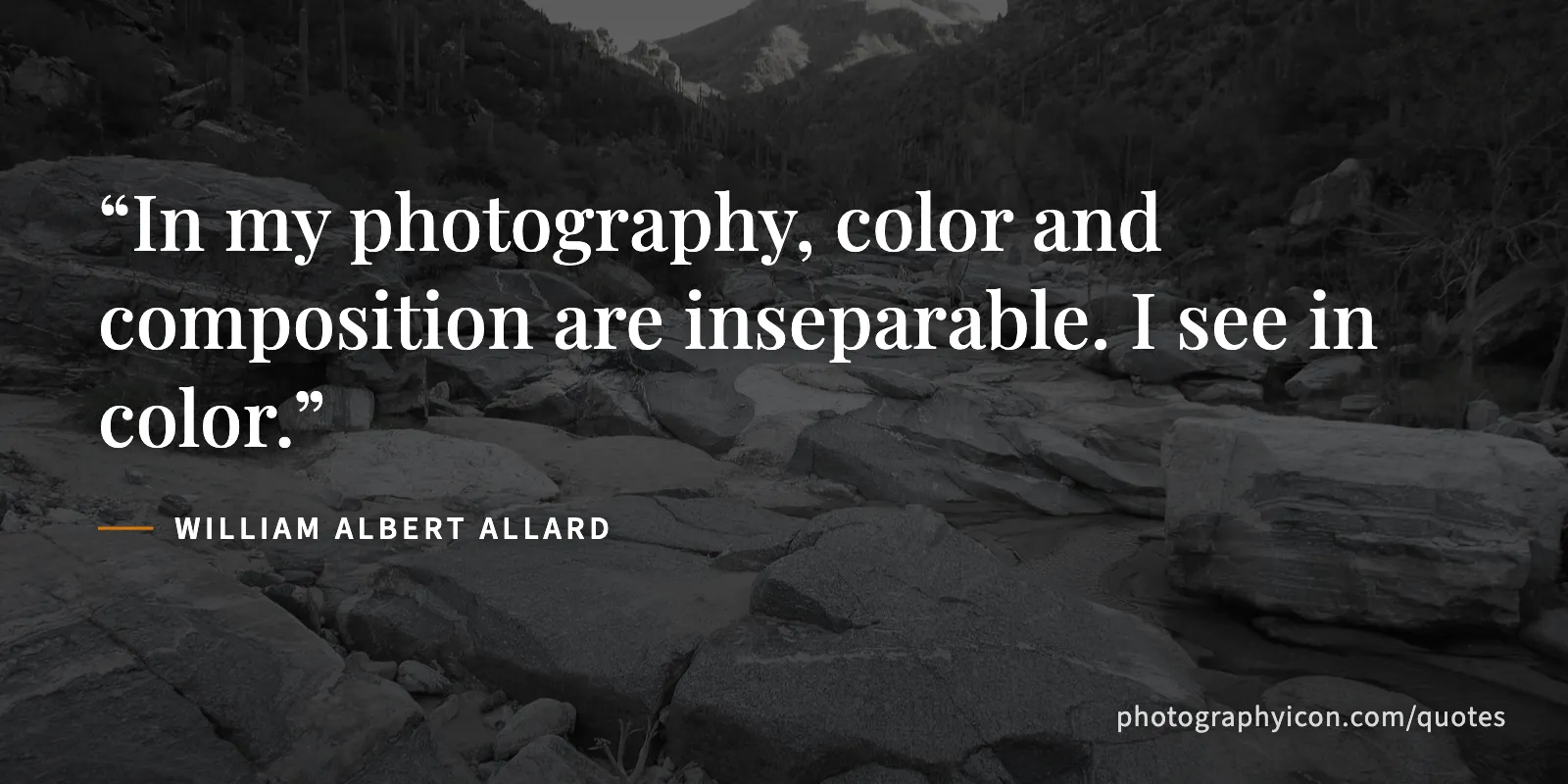 In my photography, color and composition are inseparable. I see in color. - William Albert Allard