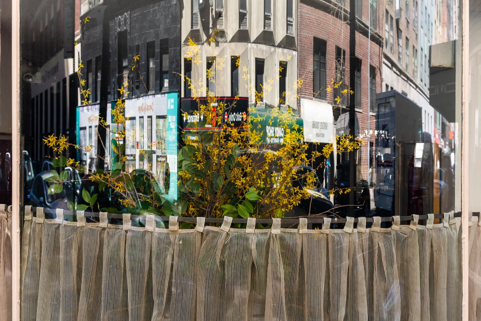 A city street and buildings reflected in a curved shop window above a lace curtain