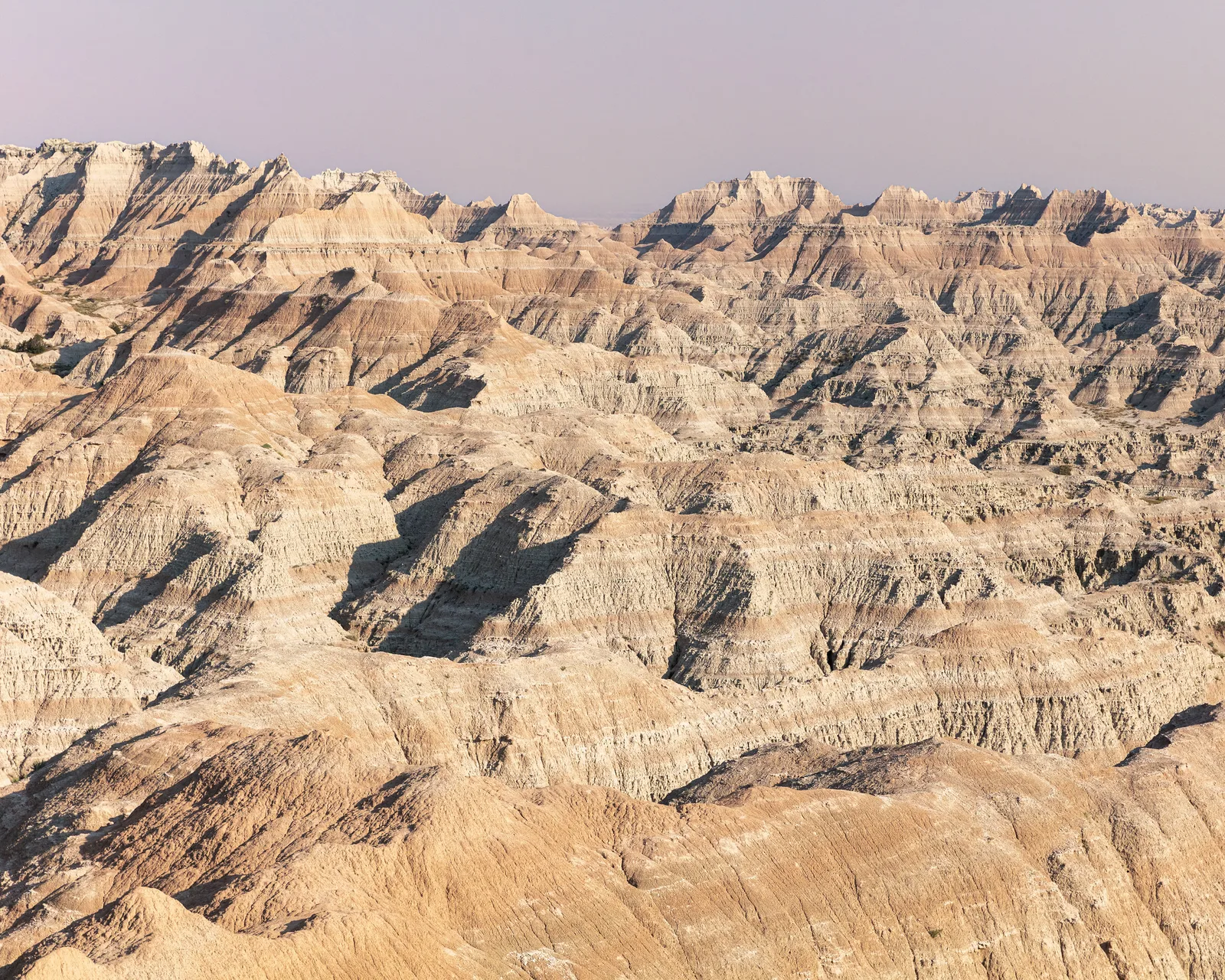 Eroded badlands ridges and gullies stretching across the frame in even light