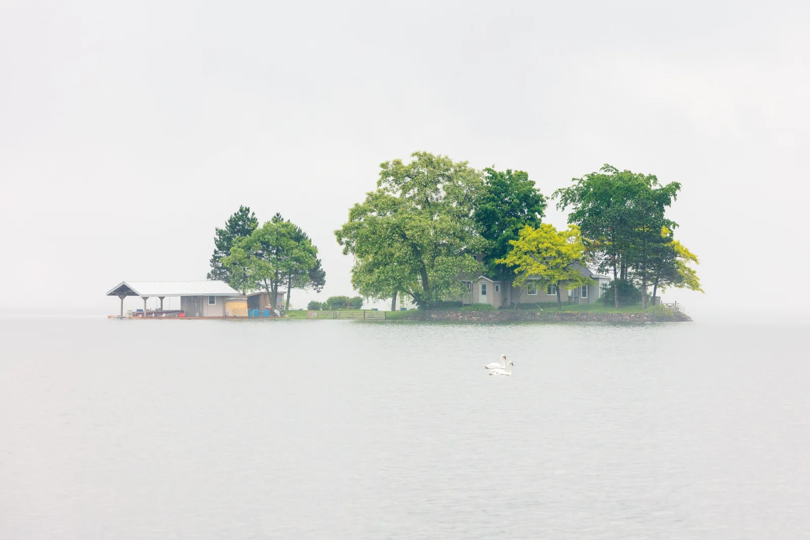 A small island with green trees and a boathouse sits in white fog on pale still water with a swan nearby.