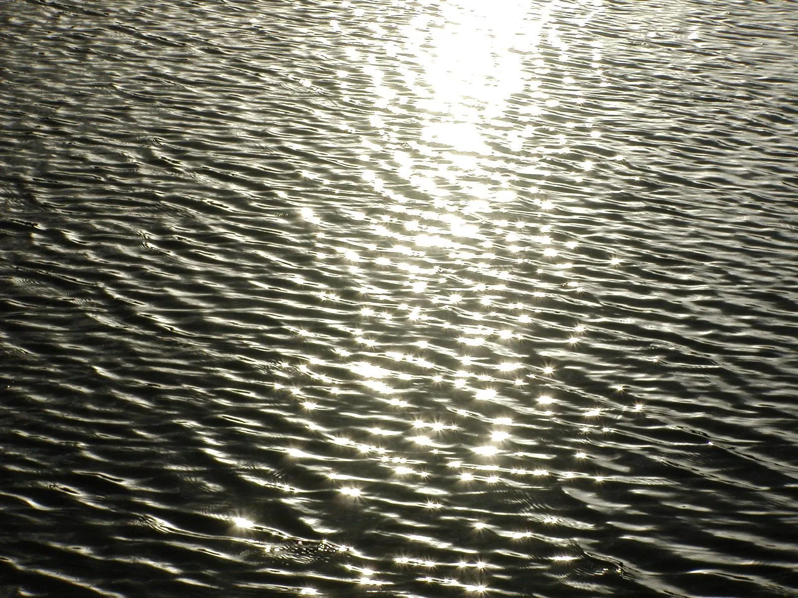 Sunlight glittering on rippled water, each tiny wave catching a bright specular highlight