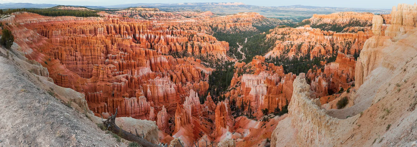 Orange hoodoos and rock spires filling an amphitheater at Bryce Canyon